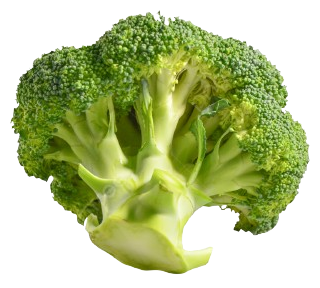 Brócolis