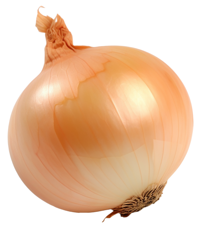 Cebola