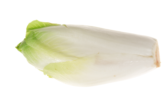Endívia