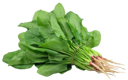 Espinafre