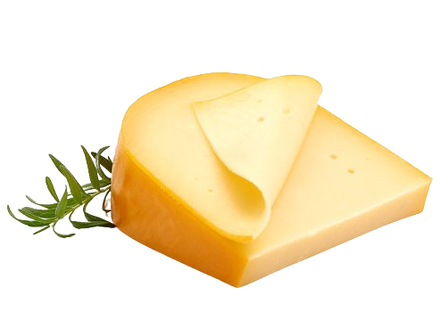 Gouda