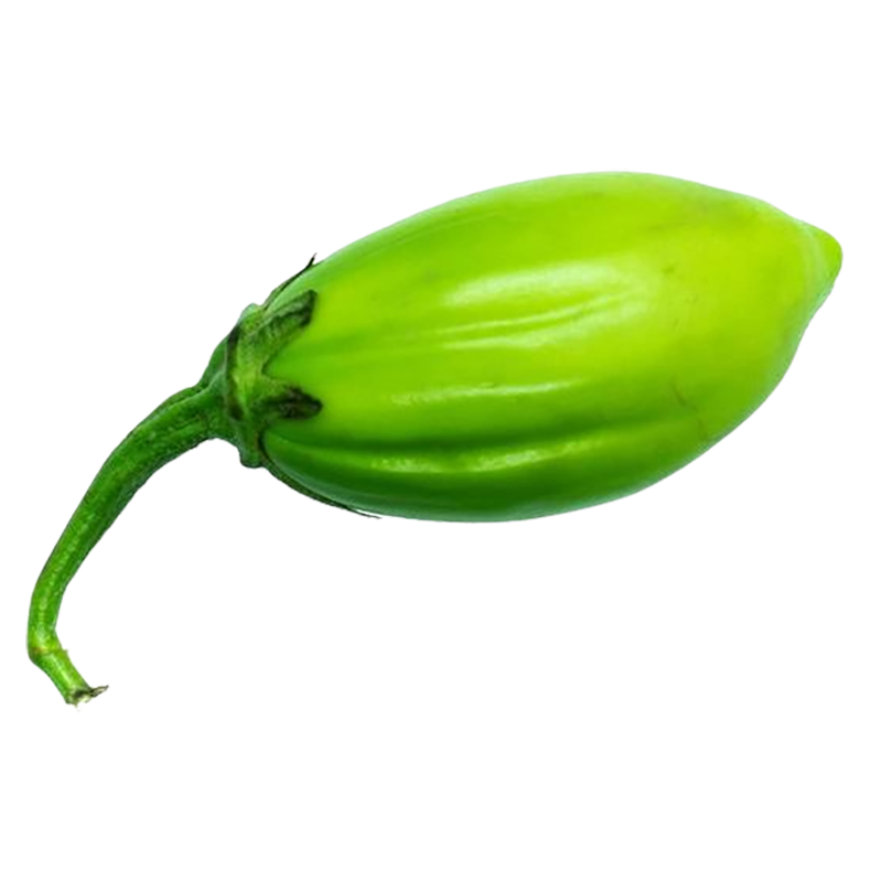 Jiló