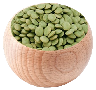 Lentilha