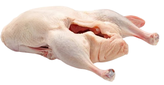 Pato